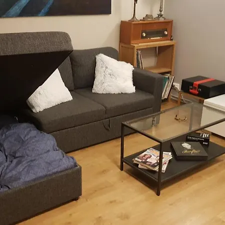 Great Downtown Apartment *